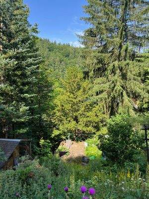 Blick vom Grundstück.jpg