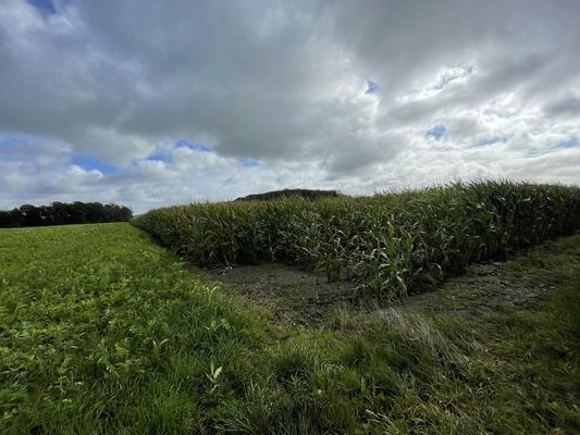 Landwirtschaftliche Fläche