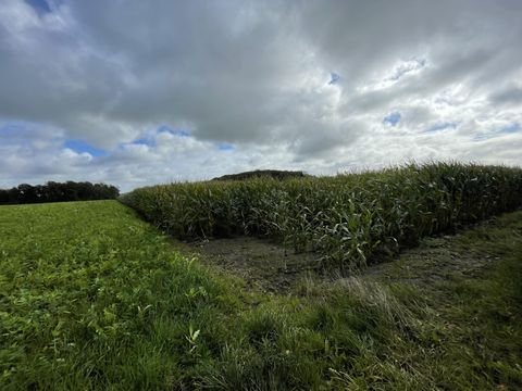 Velen Bauernhöfe, Landwirtschaft, Velen Forstwirtschaft