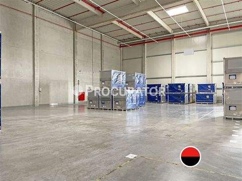 Hamburg Halle, Hamburg Hallenfläche