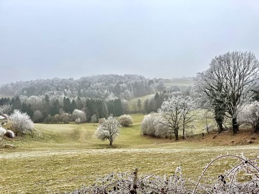 Bild 17