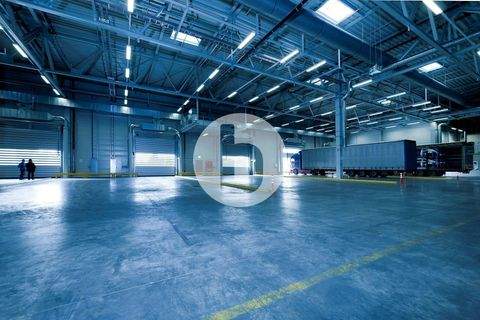 Hamburg Halle, Hamburg Hallenfläche