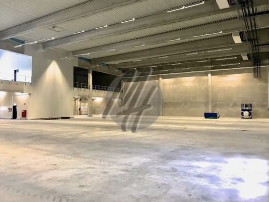 INFOS UNTER: 06171-586000