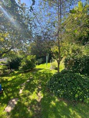 Eindrücke Gartenbereich 