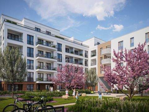 Dresden Wohnungen, Dresden Wohnung mieten