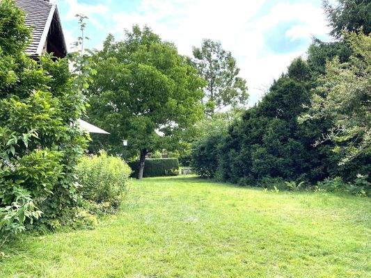 schöner eingewachsener Garten