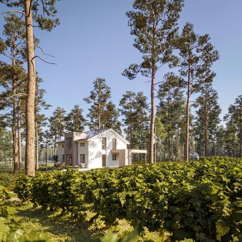 Herzberg Häuser, Herzberg Haus kaufen