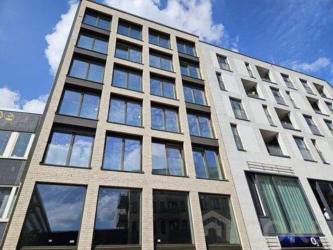 Hamburg Altona-Altstadt Wohnungen, Hamburg Altona-Altstadt Wohnung mieten