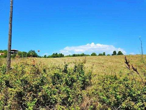 Chalkidiki Bauernhöfe, Landwirtschaft, Chalkidiki Forstwirtschaft