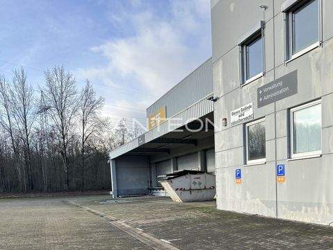 Dortmund Halle, Dortmund Hallenfläche