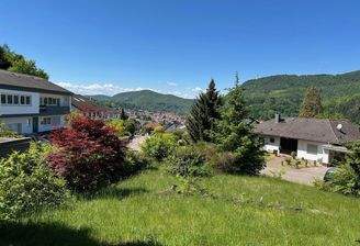 Panoramablick vom Haus aus