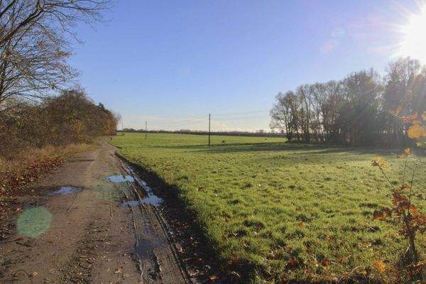 Niepars-FlächenrechteSeite