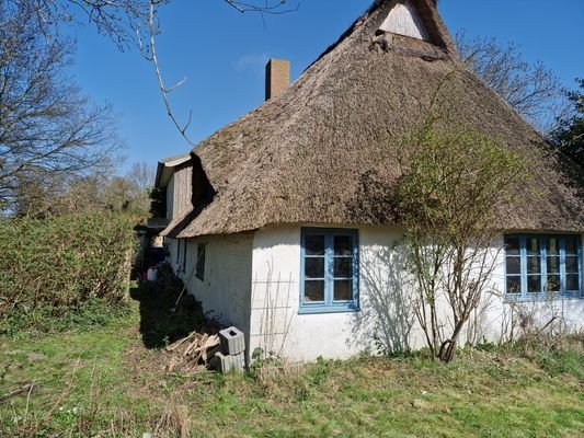 Ansicht Garten
