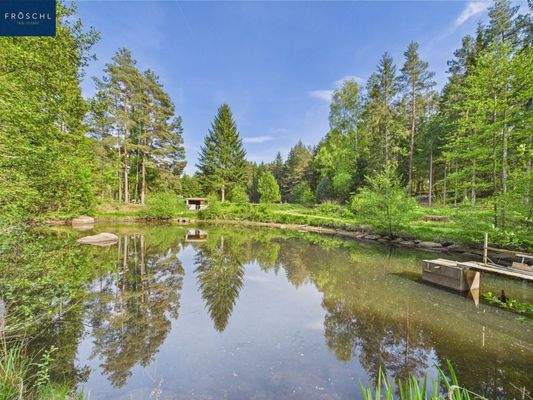 Ansicht Teich 2 - Pic 3