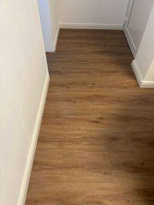 WhatsApp Image 2026-02-19 at 15.36.29