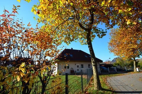 Eldingen Häuser, Eldingen Haus kaufen