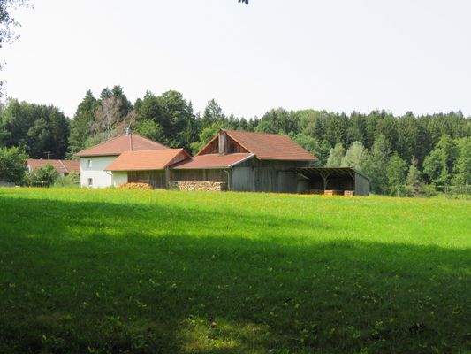 neue bzw. sanierte Dächer 