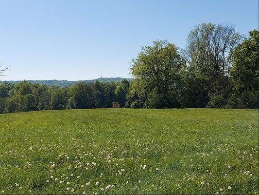 weitläufige, idyllische Ruhe