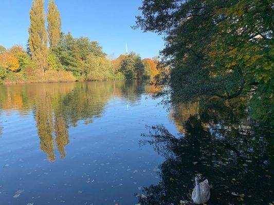 250 mtr. vom Haus entfernt