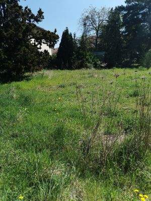 Das perfekte Grundstück für Ihr Zuhause!e