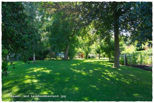 Rasen- und Laubbaumbestand