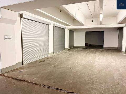 Ditzingen Halle, Ditzingen Hallenfläche