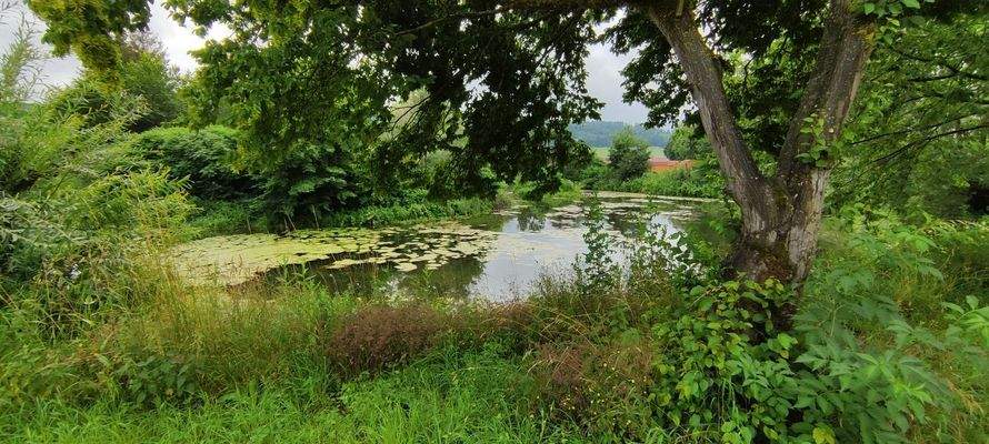 Nebenarm der Altmühl