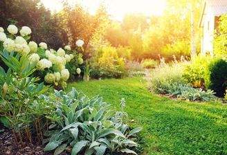 Garten-Schatten-4.jpg