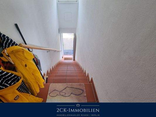 zurück in den garten