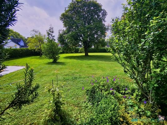 Blick vom Haus in Richtung Baugrundstück