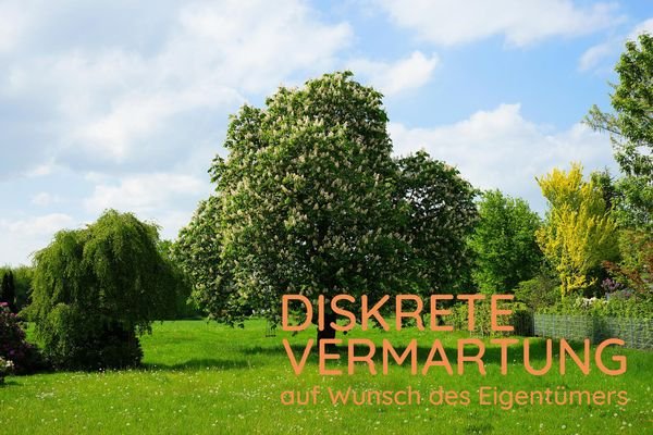 chestnut-tree-3390928_1920-diskrete-Vermarktung