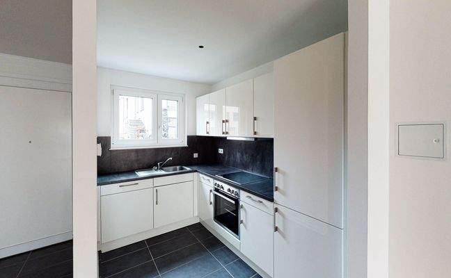 Moderne Einbauküche