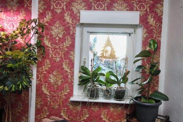 1. OG Blick zur Straße aus Fenster