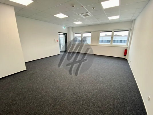 INFOS UNTER: 06171-586000