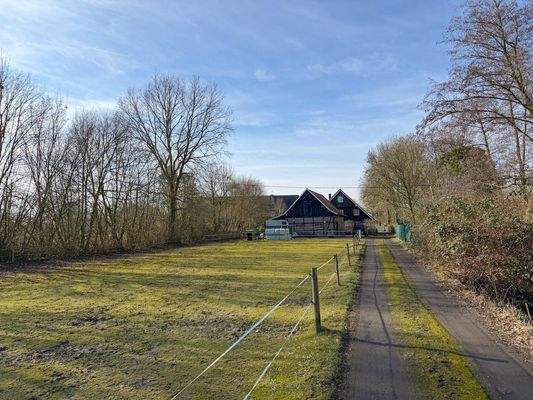 Wiesenfläche und Haus.jpg