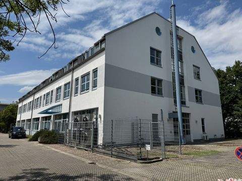 Karlsfeld Halle, Karlsfeld Hallenfläche