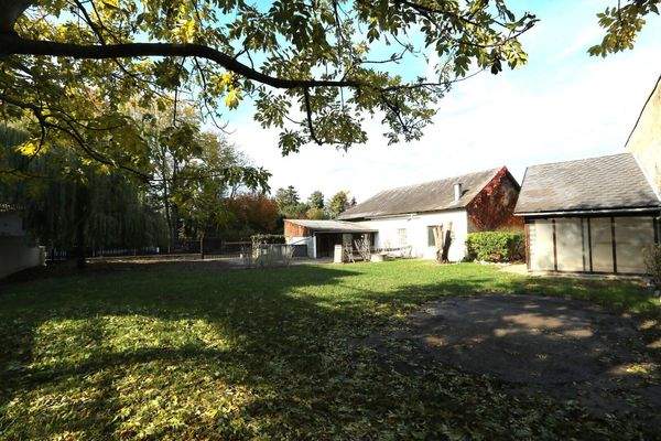 Garten im hinteren Teil des Grundstücks