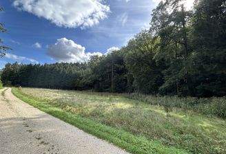 Wiese und Waldfläche