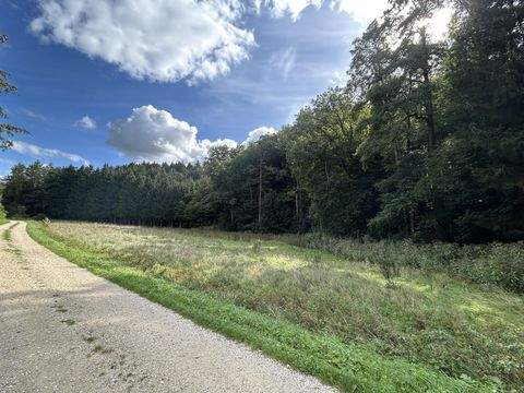 Dürrlauingen Bauernhöfe, Landwirtschaft, Dürrlauingen Forstwirtschaft