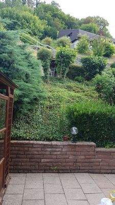 Blick in den Garten