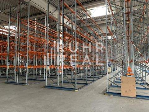 Hagen Halle, Hagen Hallenfläche