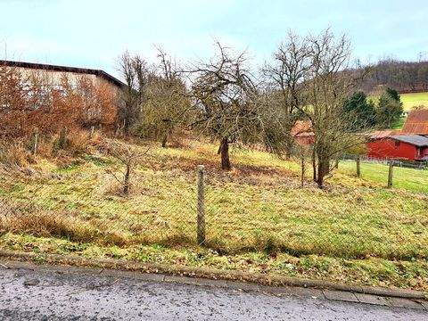 Hessisch Lichtenau Grundstücke, Hessisch Lichtenau Grundstück kaufen