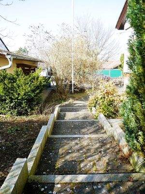 garten westseite richtung einfahrt