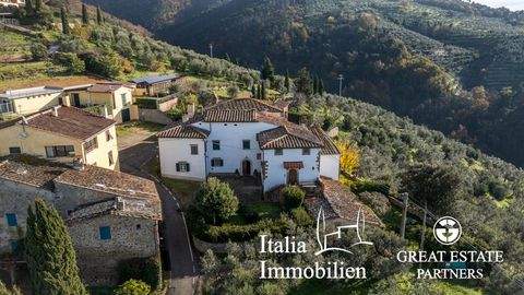 Vinci Häuser, Vinci Haus kaufen