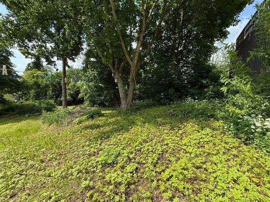 Grundstück Barterode