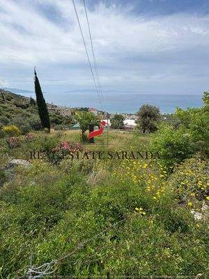 WhatsApp Image 2025-05-12 at 12.22.31-3.jpeg