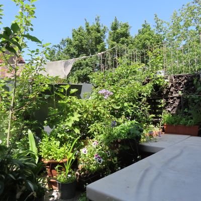 Balkon 1