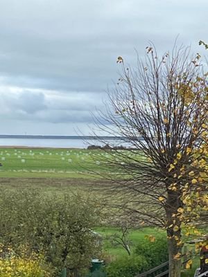 Boddenblick Fewo Specht