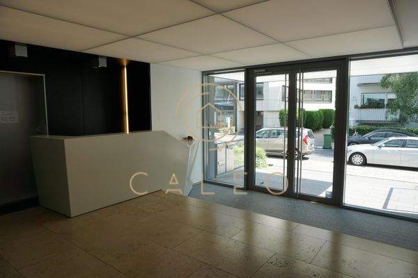 Innenansicht - Eingangsbereich 1