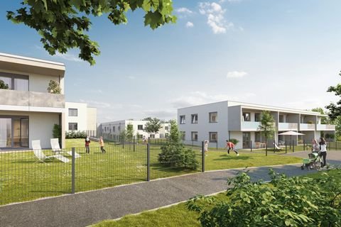 Wiener Neustadt Wohnungen, Wiener Neustadt Wohnung mieten